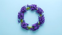 Vibrant purple hyacinth wreath arranged in a circle on a light blue background, flat lay composition with copy space in the center.