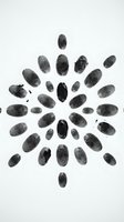 Circular arrangement of fingerprints and thumbprints in black ink on white background, isolated for forensic, security, identification, and legal design applications.
