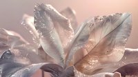 Delicate frost-covered leaves in soft pink morning light with sparkling ice crystals and water droplets creating dreamy natural macro photography effect.