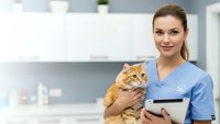 Young Caucasian female veterinarian in blue scrubs holding orange tabby cat with tablet in modern clinic examining room for pet healthcare.