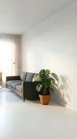 Monstera plant in terracotta pot beside gray sofa in bright, minimalist living room with white walls and natural light from window.
