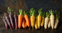 Fresh organic rainbow carrots arranged by color from purple to white on rustic wooden background. Healthy root vegetables for cooking and nutrition.