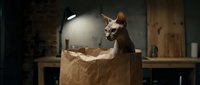 Sphynx cat sitting on wooden block in workshop with dramatic lighting and rustic background for pet photography and craftsmanship concepts.