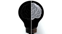 Conceptual split lightbulb with contrasting black and white brain halves symbolizing creative thinking, innovation, and cognitive duality on white background.