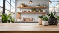 Wooden table with potted succulents in modern kitchen interior featuring open shelving, natural light, and minimalist decor.