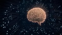 Glowing neon brain with circuit board pattern background illustrates artificial intelligence and machine learning concepts in modern technology advancement.
