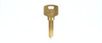 Gold brass house key isolated on white background, symbol of security, access, and home ownership for real estate and locksmith concepts.