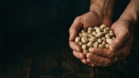 Male farmer with medium skin tone holding freshly harvested peanuts in cupped hands against dark background. Suitable for agriculture, farming, harvest, and food production content.