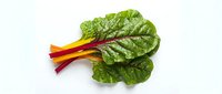 Fresh chard with vibrant green leaves and colorful red and yellow stems isolated on white background, suitable for culinary, nutrition, and healthy eating design projects.