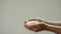 Hands holding uncooked rice grains against neutral background. Suitable for food, agriculture, nutrition, cooking, and charity concepts.