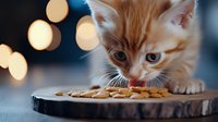 Ginger kitten eating dry food from wooden plate with bokeh lights in background, close up portrait of young cat during feeding time. Pet care concept.