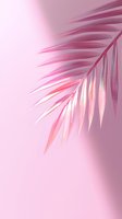 Pink palm leaf branch on soft rose background with gentle lighting effects creates dreamy tropical mood for wellness and spa designs.