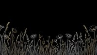 Golden line art wildflowers and grass border on black background for elegant botanical design projects and nature-themed decorations.
