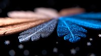 Shimmering butterfly wings in blue and copper colors with glitter texture on black background create magical macro photography effect. Suitable for fantasy designs.