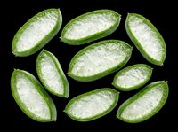 Okra slices isolated on transparent background, ready for clipart, t-shirt design, stickers, print-on-demand products, and sublimation projects.