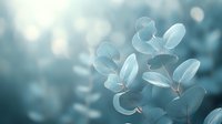 Ethereal translucent eucalyptus leaves in soft teal and white tones against blurred bokeh background create dreamy natural composition for wellness and spa designs.