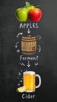 Fresh green and red apples transform into golden cider through fermentation process, illustrated on chalkboard background with barrel and mug.