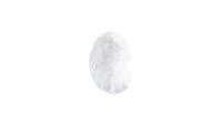 Detailed fingerprint pattern showing unique ridges and valleys in grayscale on white background, isolated for forensic science, security, and identification purposes.