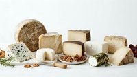 Gourmet cheese selection with blue cheese, aged cheddar, brie and artisanal varieties arranged on white background for culinary photography and food styling.
