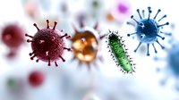 Colorful microscopic viruses and bacteria floating in blurred background, medical science visualization showing different pathogens and microorganisms in detail.