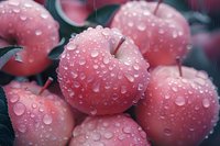 Fresh pink apples covered with pure water drops in moody lighting, macro photography showing detailed texture of wet fruit skin and natural moisture beads.
