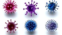 Colorful virus cell models showing detailed molecular structure with spikes and protein elements on white background, medical science visualization.