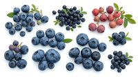 Fresh blueberries and red currants with green leaves isolated on white background, ready for food packaging, recipe blogs, and culinary design projects.