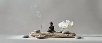Zen meditation setup with Buddha statue, burning incense, white orchid flowers and smooth stones on driftwood creating peaceful spa atmosphere for relaxation.