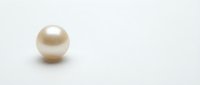Single cream colored pearl on white background isolated for jewelry design and luxury accessories marketing materials.