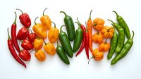 Colorful assortment of fresh hot chili peppers arranged in a row on white background, showcasing red, orange, yellow, and green varieties.