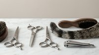 Grooming tools for men's beard and hair care arranged on white surface, including scissors, clippers, brush and comb for barbershop or salon use.