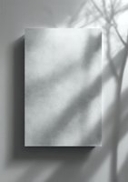 Minimalist white canvas with tropical palm leaf shadows creating natural light patterns on textured surface for modern interior design and branding projects.