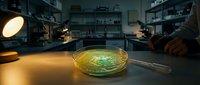 Laboratory petri dish with green bacterial culture under microscope lighting in modern research facility for scientific experiments and medical studies.