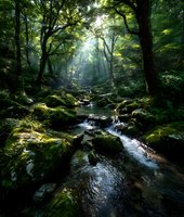 Sunlight filtering through ancient forest canopy illuminates moss-covered rocks and flowing stream in mystical woodland landscape.