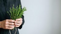 Person in dark clothing holding fresh rosemary and herbs bundle against white background for culinary, wellness, and organic product marketing use.