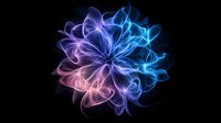 Ethereal glowing abstract flower shape in blue and pink neon colors against black background, luminous smoke-like flowing lines creating magical light effect.