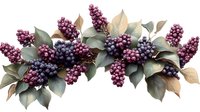 Decorative garland with purple berries and green leaves on white background, botanical border arrangement for seasonal decor and festive designs.