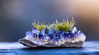 Vibrant green moss growing on purple amethyst crystal cluster formation on natural stone base against blurred background, showcasing natural mineral beauty.