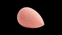 Pink teardrop makeup sponge isolated on transparent background, ready for beauty, cosmetics, T-shirt, sticker, print on demand, and sublimation design use.