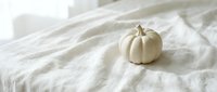 Small white pumpkin on soft linen fabric creates minimalist autumn decor for seasonal home styling and fall photography projects.