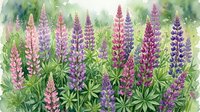 Watercolor lupine flowers in purple pink and blue hues with green foliage, botanical garden scene for spring summer floral design and nature artwork.