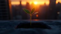 Young green seedling growing from soil against golden sunset sky, symbolizing hope, new beginnings, growth and environmental sustainability.