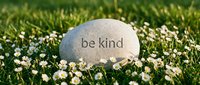 Smooth stone engraved with be kind resting on lush green grass surrounded by white daisy flowers in warm sunlight.