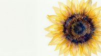 Watercolor sunflower with yellow petals and dark center, isolated on white background, ready for cards, prints, and design projects.
