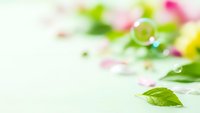 Soft blurred spring floral background with green leaves and colorful flower petals creating dreamy bokeh effect for romantic designs and seasonal content.