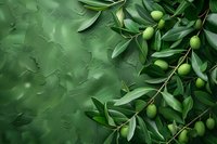 Fresh green olives on branch with leaves against textured dark green background, perfect for food industry, restaurant menu design and organic products.