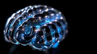 Glowing blue spiral shell with luminous patterns against dark background creates mystical marine atmosphere. Decorative art piece for fantasy designs.