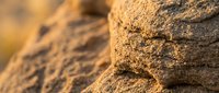 Golden hour sunlight illuminates weathered sandstone rock formation with detailed texture and natural erosion patterns in warm desert landscape.