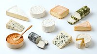 Assorted gourmet cheese collection featuring brie, camembert, blue cheese, goat cheese and aged varieties on white background for culinary design.