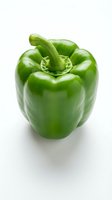 Fresh green bell pepper isolated on white background, suitable for food, nutrition, cooking, and healthy eating design projects.